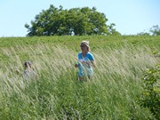 Májový běh pro zdraví